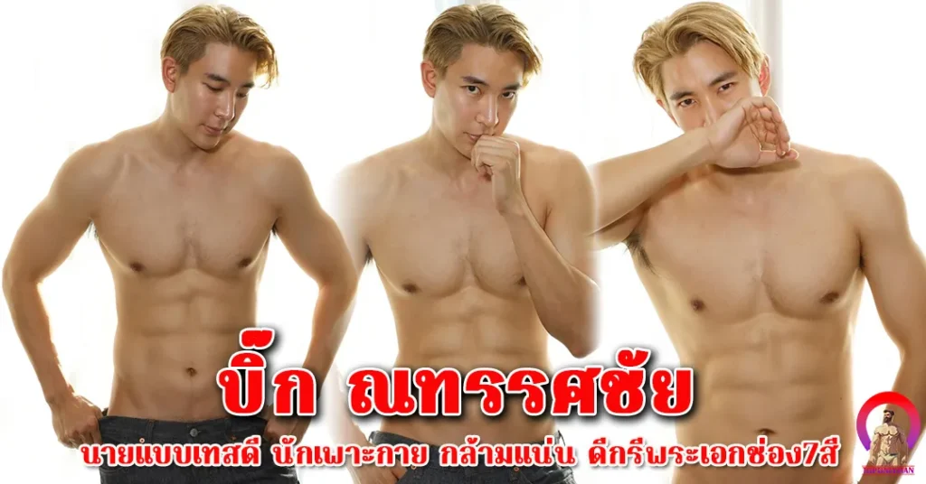 บิ๊กณทรรศชัย